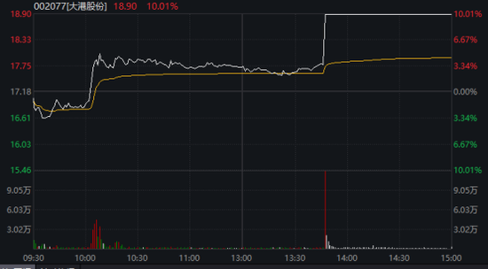 午后异动!002077,1分钟涨停!