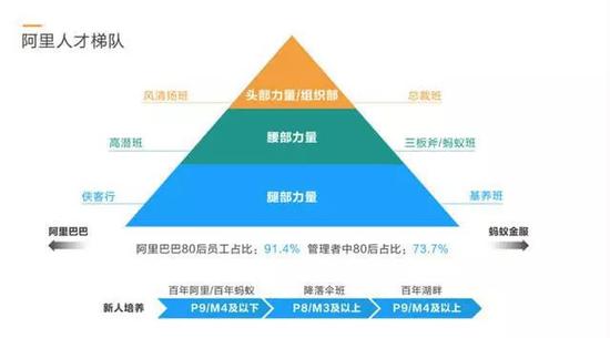 （阿里巴巴人才梯队图）