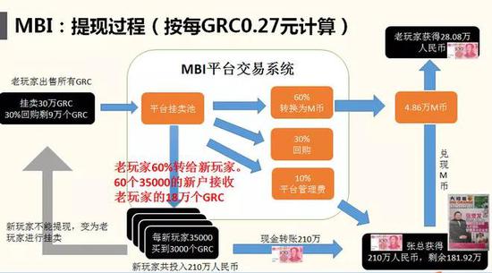 梦幻体育博彩,青岛中山公园菊花盛放 别错过最佳观赏期