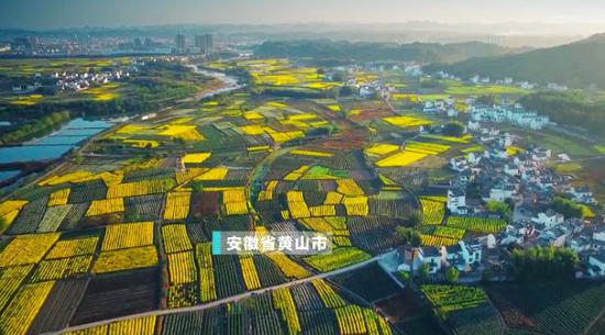 威尼斯国际送38 ST宝鼎与茂化实华公告进行QQ式聊天 争执转让事宜