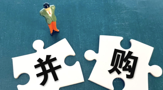 山东富豪杨晓宏买壳记