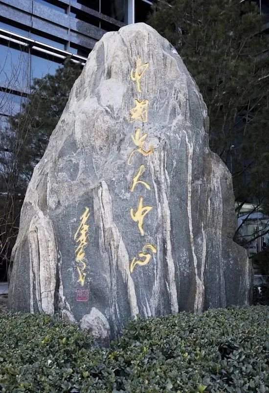 唐双宁:波涛起落载覆舟