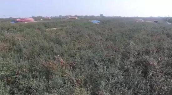 甘肃省庆阳市