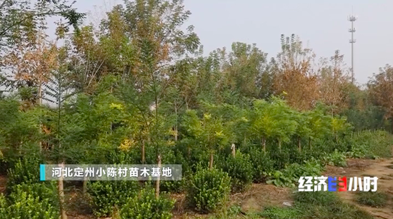 易县有多少人口_易县太行水镇图片(3)