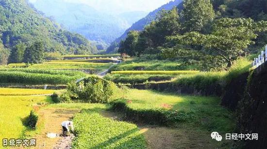 日本田园风光（资料图）