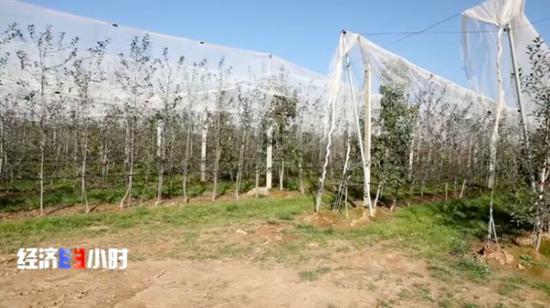 「环亚电投网站」长生生物回问询故意模糊字眼 律师称公司存退市可能