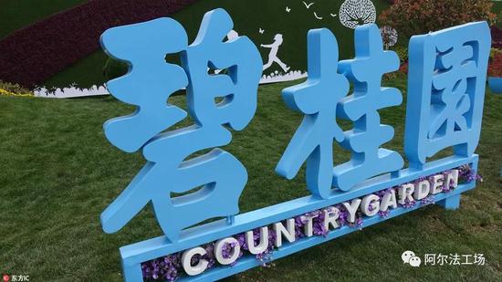 房地产企业那么多 为什么碧桂园总是被黑?