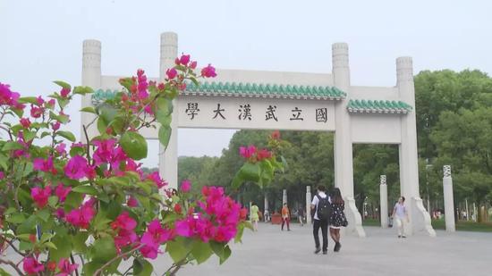 (武汉大学)