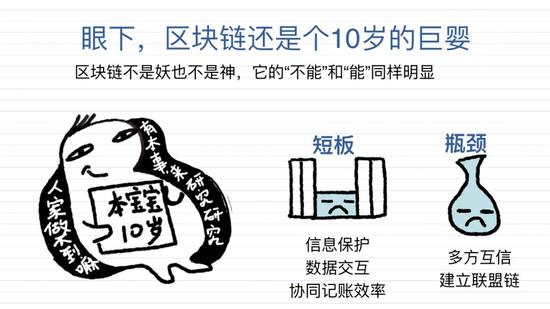 668k8.com凯发 女性想要皮肤好,推荐四种食物,美白护肤,排毒消脂,美体塑身