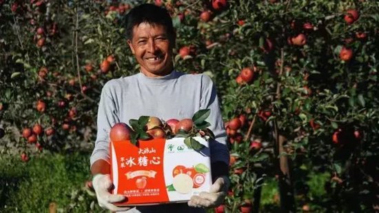 上半年净利润同比增长47%，拼多多做对了什么？