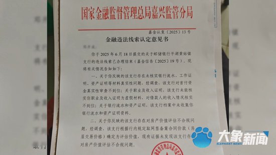 (金融监管局认定意见书)