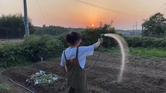 苗栽好了，忙忙用浇水泵给地里浇水 / 受访者供图
