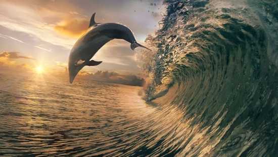 “出淘入抖”下半场