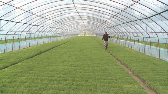 专访刘永好：企业不能沉沦在历史经验中