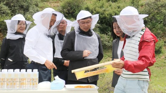 任德奇实地走访中华蜜蜂养殖基地