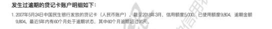 图为林先生的征信报告截图