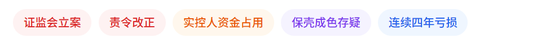 川大智胜被证监会立案:摘帽不足四个月,3.25亿营收撑起的保壳成色,是否为“业绩大洗澡”?