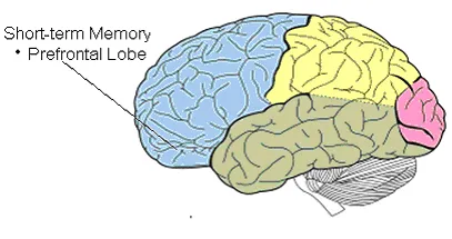 谷歌祭出Transformer杀手,8年首次大突破!掌门人划出AGI死线