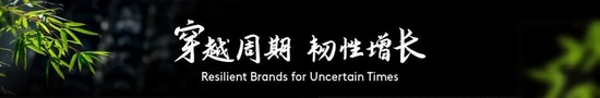 凯度BrandZ最具价值中国品牌百强榜：小红书、科大讯飞新晋，圆通、哈弗、TCL重回榜单
