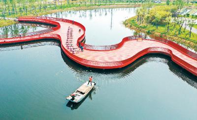 江苏省宿迁市泗洪县城北污水处理厂旁的尾水湿地公园,水上环卫工人正在水面打捞漂浮物。目前各地环卫工人收入普遍较低。 张连华摄(人民图片)