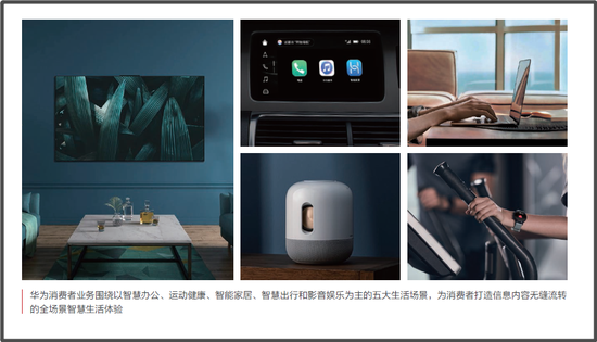 图片来源:华为2020年度财报