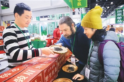 11月8日,2019北京国际茶产业博览会在北京国家会议中心开幕,一些老字号茶企齐聚。展会上,茶友在观看一款红茶。 陈晓根摄(人民视觉)