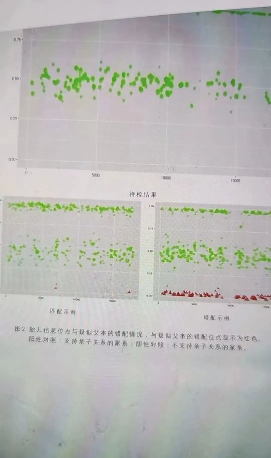 谭珺老师和杨冬基金经理的瓜
