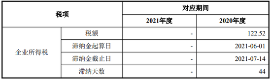 “国产替代”,又一家IPO!