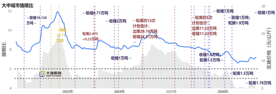 生猪:预期先行,盘面节奏加快