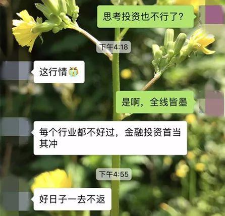 基金经理百万月薪成往事 思考投资4只产品亏超