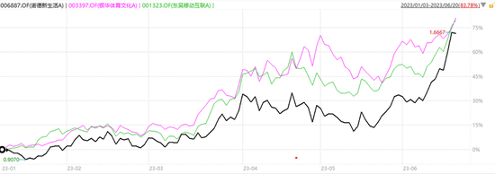 离年中就5天了，这几个热门基金还没分出个胜负
