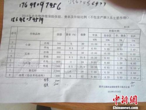 图为赔付明细。 张玮 摄 图为赔付明细。 张玮 摄