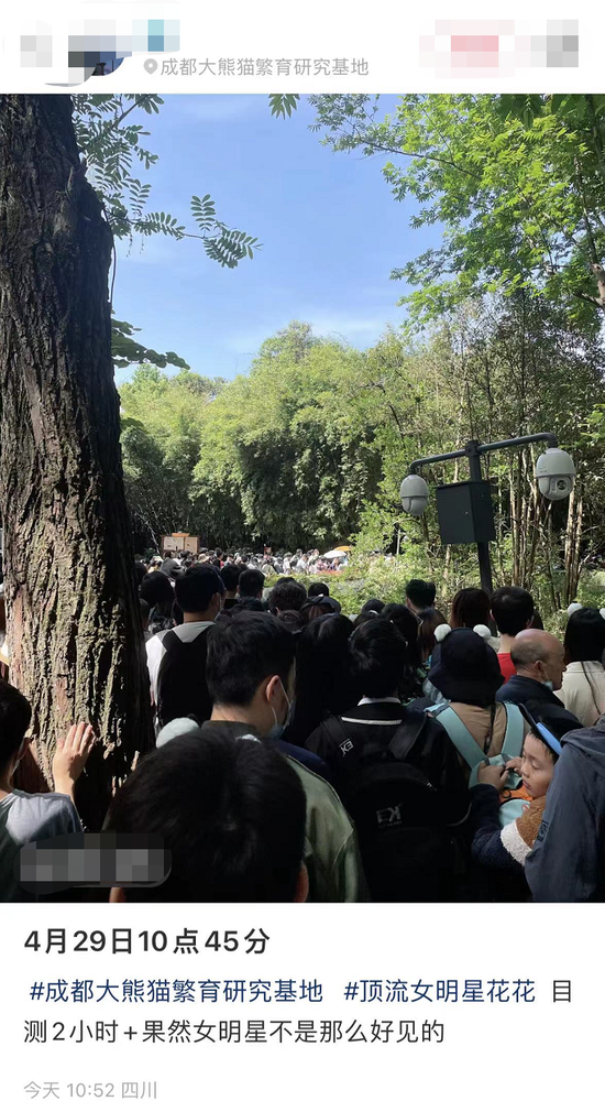 紧急公告：约满！售罄！迪士尼酒店价格惊人，网友发来景区实况，宅家族看了很震撼