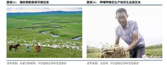 ag9亚游集团官方网站 - 英雄联盟:XLB酒桶丝血夺龙,Betty多次三杀,RNG手握赛点