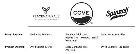 资料来源:Cronos集团