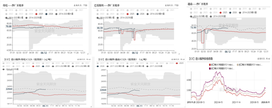 【棉花半年报】再估平衡表