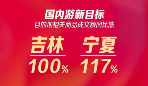 图源:飞猪旅行双十一战报