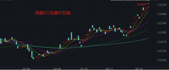 生猪和鸡蛋期货市场分析:供需格局与价格走势