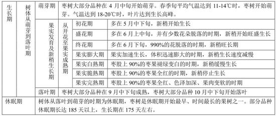 枣树的年生长周期