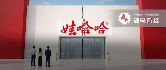 娃哈哈员工之怒：虎林之后，杭州、沈阳、南京在行动！