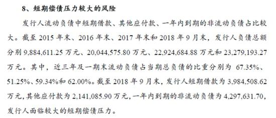 (來源:中民投債券募集說明書)