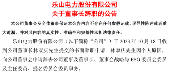 上市公司乐山电力董事长辞职