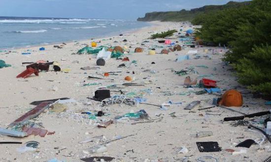 海边沙滩遍布塑料垃圾。