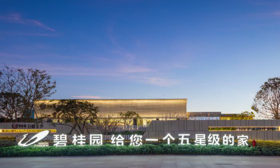 碧桂园的捐款、清仓与亏损