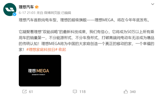 理想的破绽，在财报之外