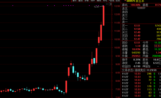 沪指又站3300，半日成交超8000亿 超3600股下跌，这一板块又火了