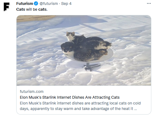 加拿大的猫咪在星链设备上取暖