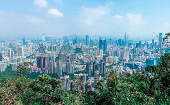 深圳市(Charlottees摄)