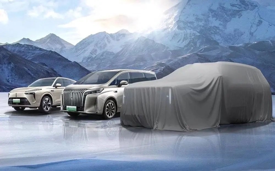 谁杀进了新势力吃独食的市场