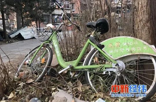 ▲被遗弃的酷骑单车。中新经纬 薛宇飞 摄